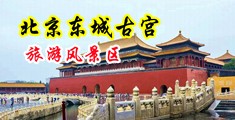 国产操B欧美黑鸡吧视频中国北京-东城古宫旅游风景区